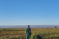 IMG-20220916-WA0259