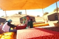 IMG-20220916-WA0264